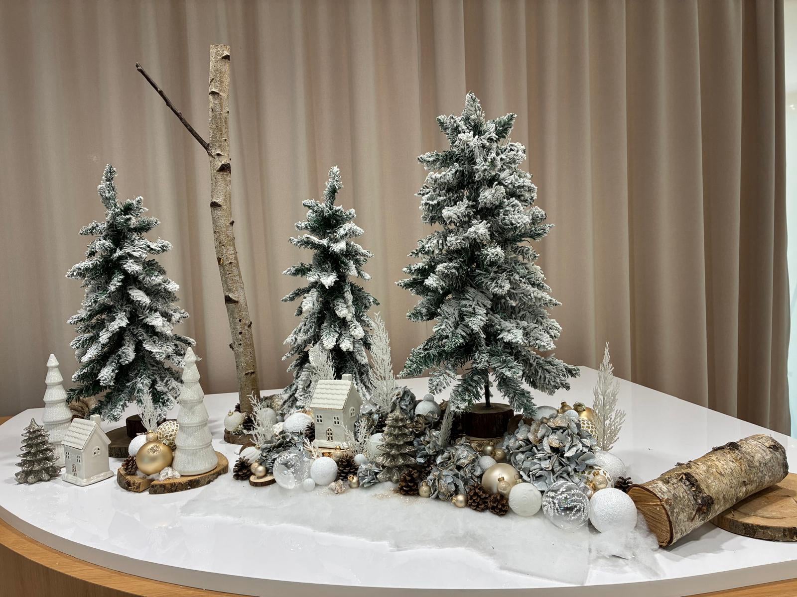 Akantus - Bosch - Scénographie de Noël